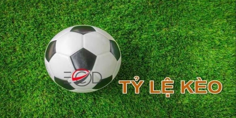 Tylekeo.promo: A New Era in Online Casino and Betting